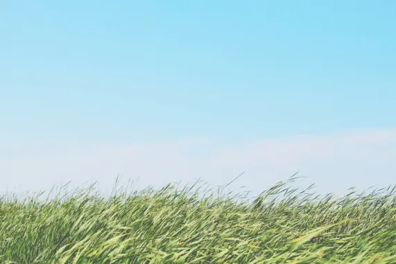 Casino Ted Bingo Tacaíocht